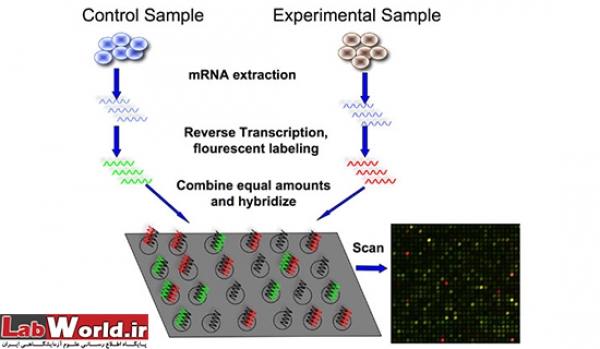 تکنولوژی کلینیکی میکروآرایه (Microarray)