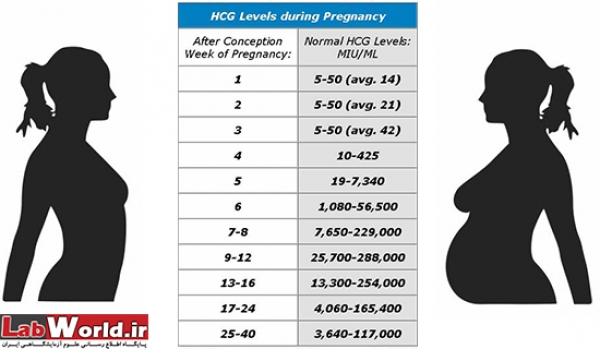 علل افزايش مقدار BHCG در زنان غير باردار